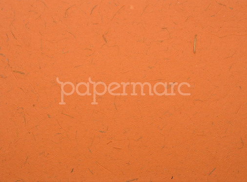 Elephant Orange A4 Paper
