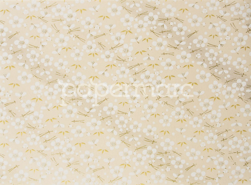 White Flowering Spurge (CH7473) A4