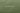 Pearla Fern Green